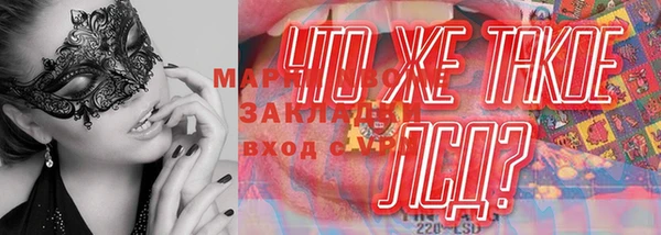 дурь Алзамай